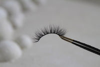 EUPHORIA Full Strip Eyelash